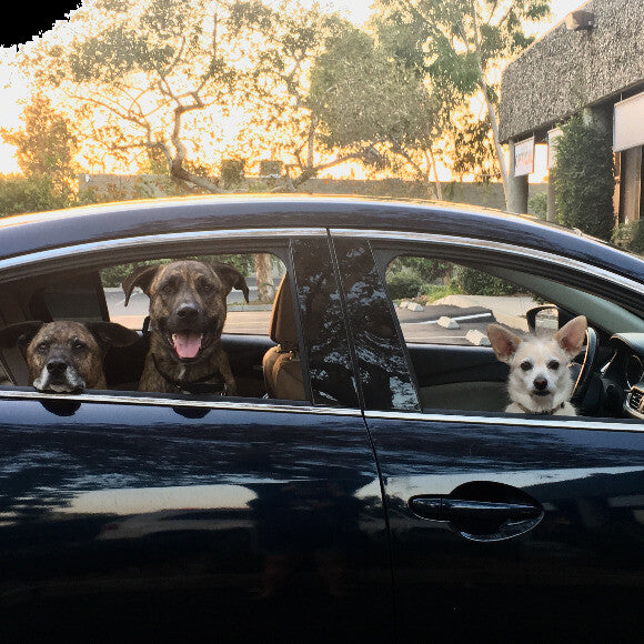 The gang�s all here! Family field trip!