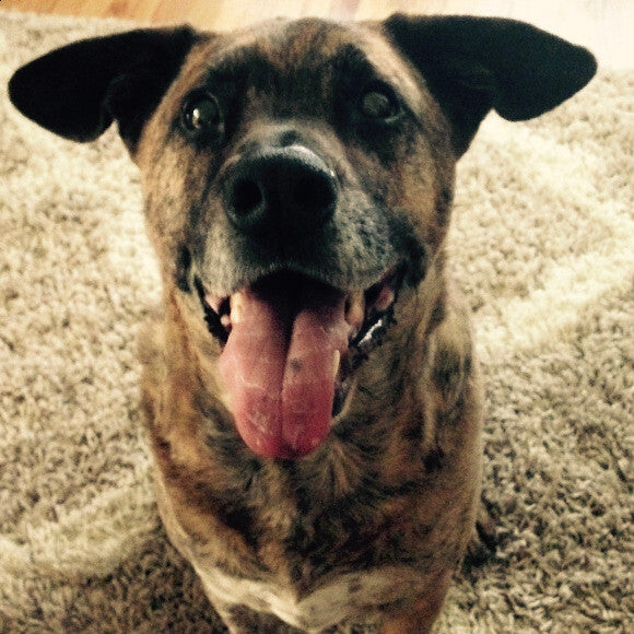 Augie asking if it�s �time for breakfast!?�