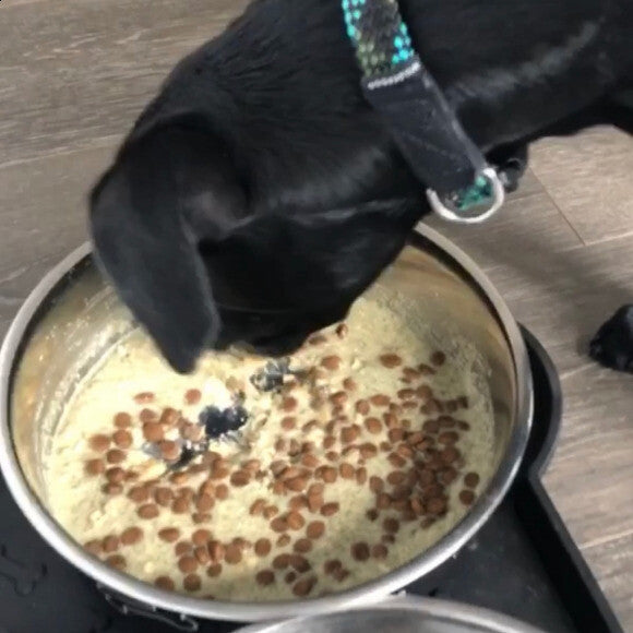 She LOVED the flavor, the new consistency it added to her kibble, it helped her slow down her puppy inhaling way of eating, and we love that it is easy to travel with!