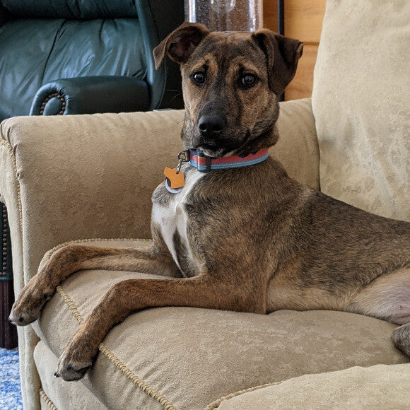 Freya looking regal!