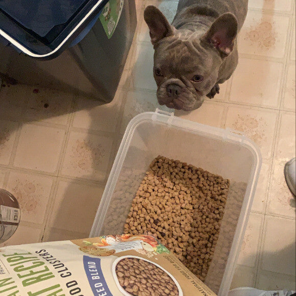 Every 3-4 week food delivery he can't help but hope for a bowl. I got him when he was about 13 weeks old, and I fed him the rest of what the breeder gave him and by 5 months he was fully converted to The Honest Kitchen. I sprinkle Zesty Paws Alaskan salmo
