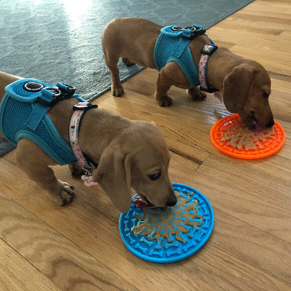 They weren�t picky when it came to peanut butter....
