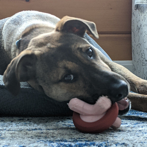 Looking innocent as she destroys her new toy!