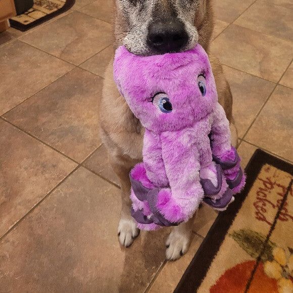 Happy Boy!