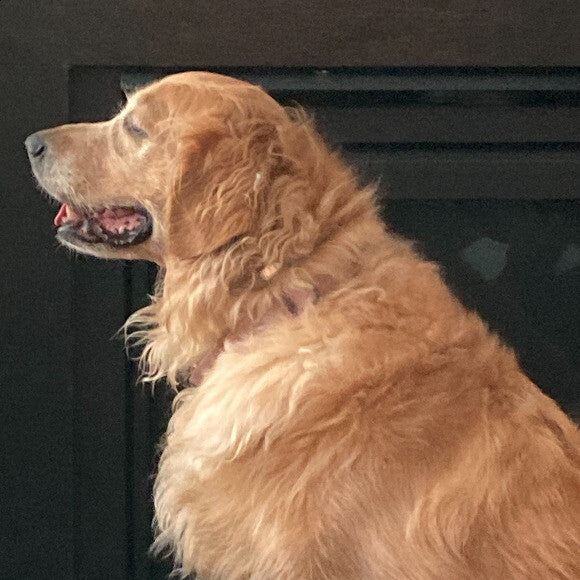 Samantha