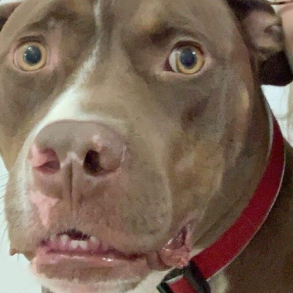 Storm when you ask him to take a picture