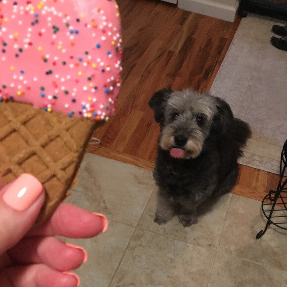 Time for a treat