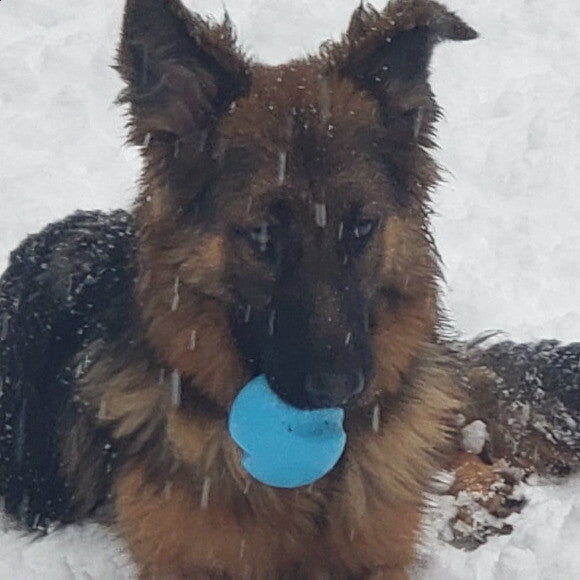 Kee Ahn and the snow