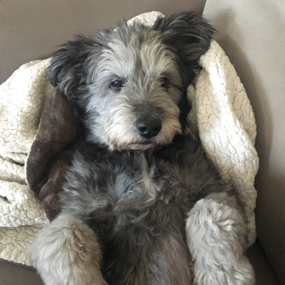 Getting cozy