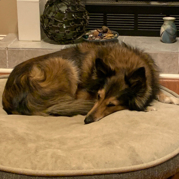 Cozy Spot
