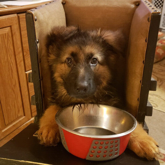 Kee Ahn in his bailey chair, just after finishing breakfast!