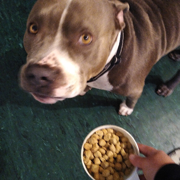 He can't wait!!