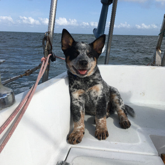 Logan as a baby, sailing