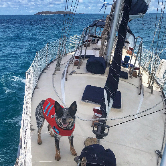 Logan Sailing