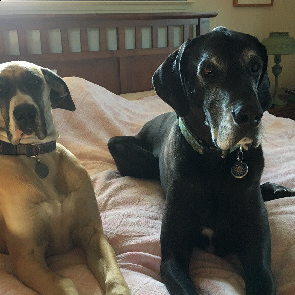 Jack waiting with his little sister Opal.