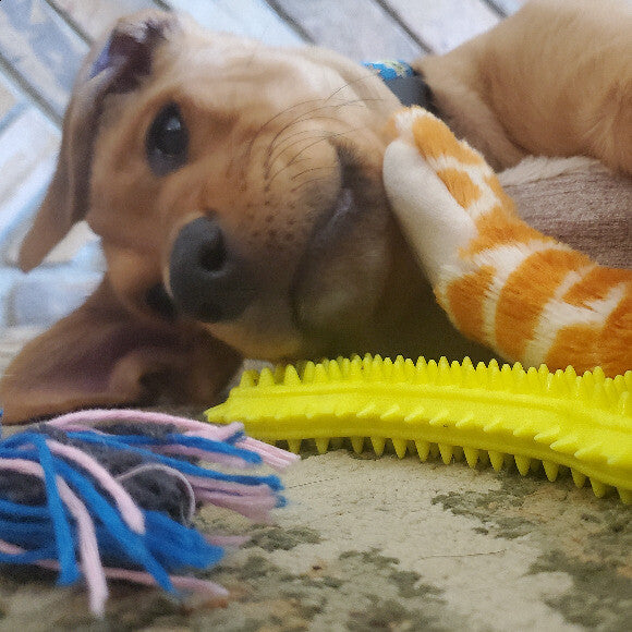 The goofiest boy