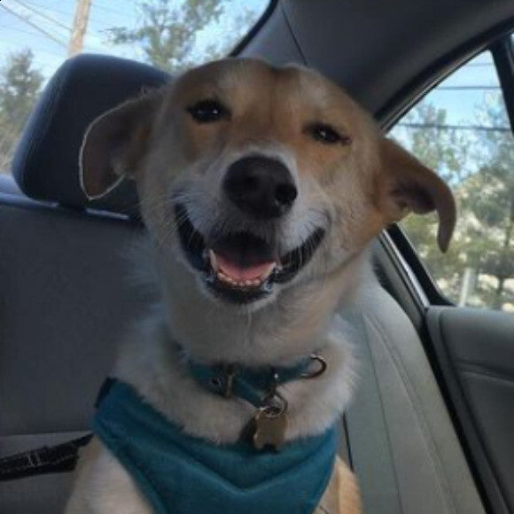 Happy Kazz