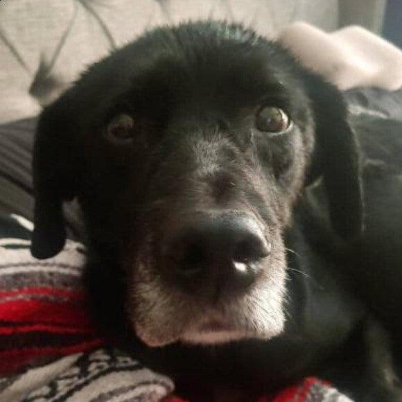 That face melts my heart