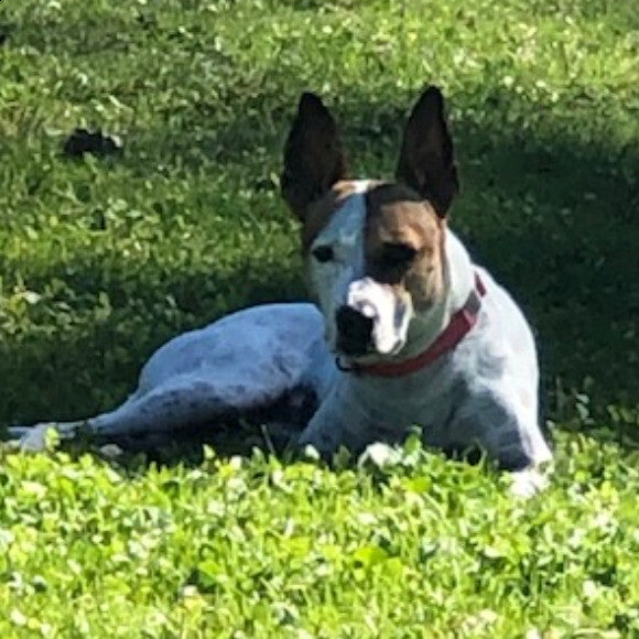 Always alert