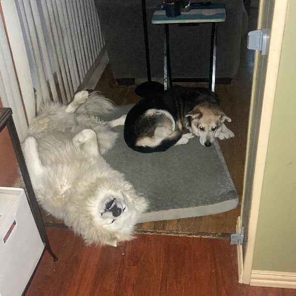 with her sister tippy