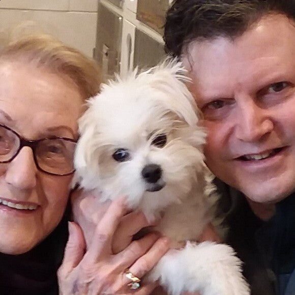 March 2019 Babylon Shelter - the day we adopted Cody