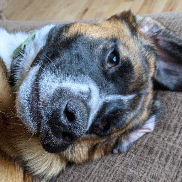 Hey, how you doin