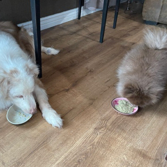 They love this food!