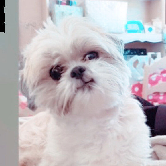 twinkie