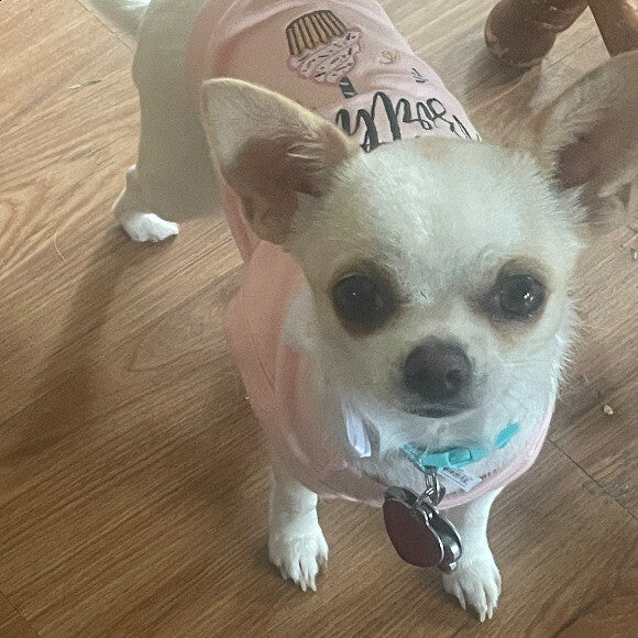 She is the princess and she knows it