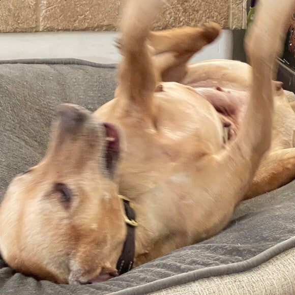 Keegan being playful