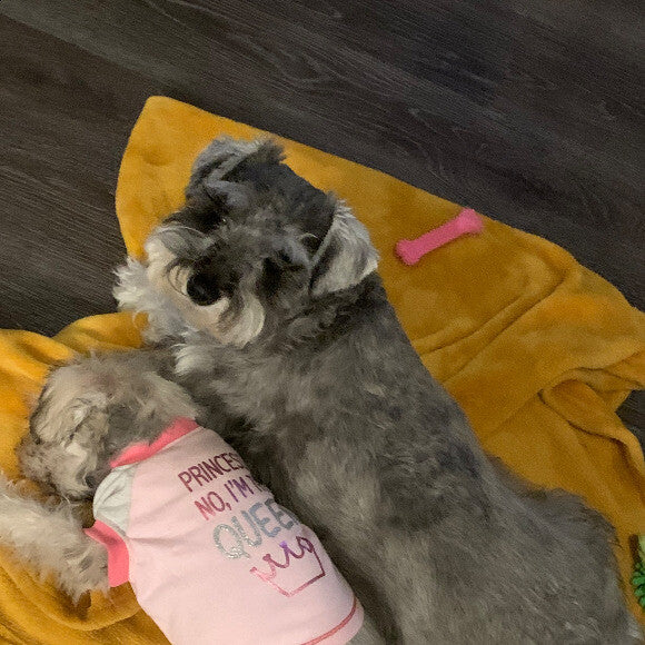 Frida did not want to play or do anything :(
