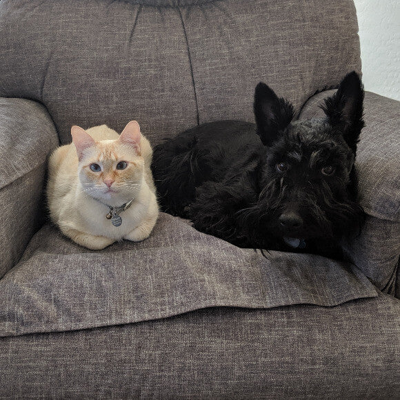 Dixie and Pip