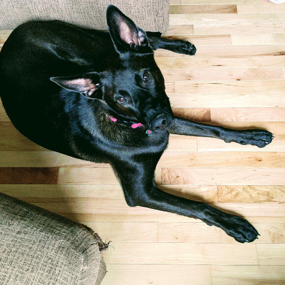 Hey there!