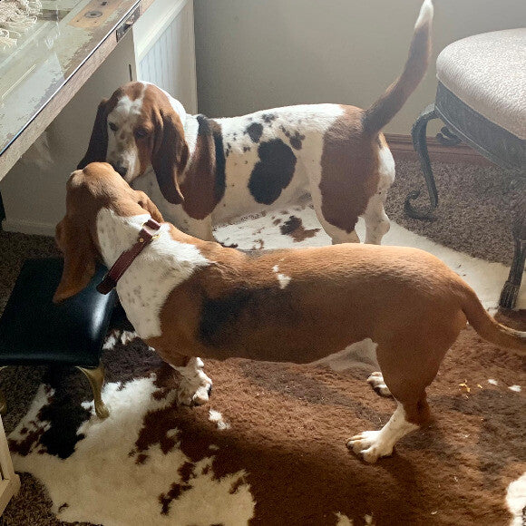 Play Date