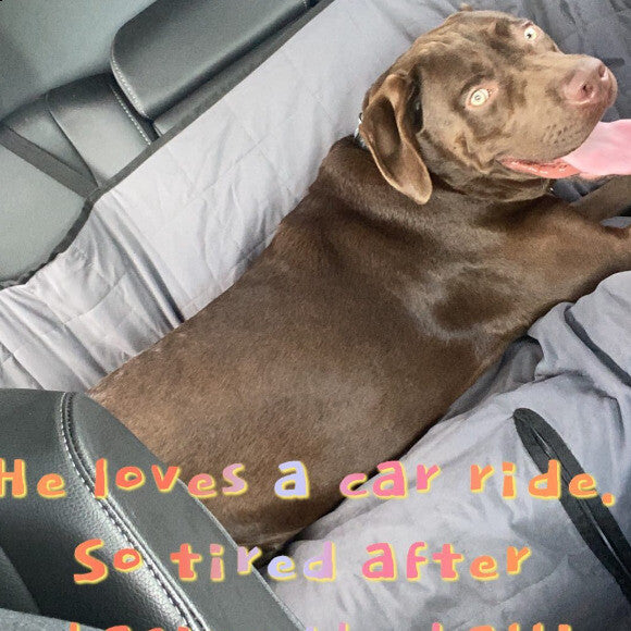 After some ball chasing at the park