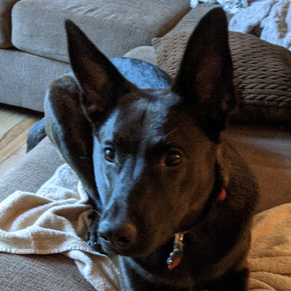 I'm ready for my close up