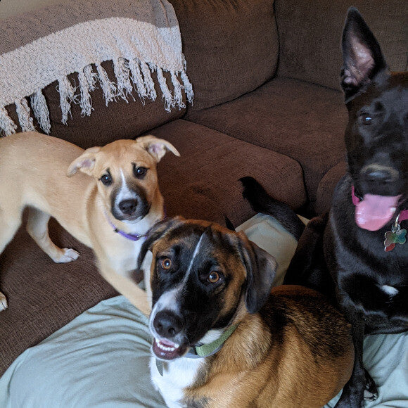 She also loves her family