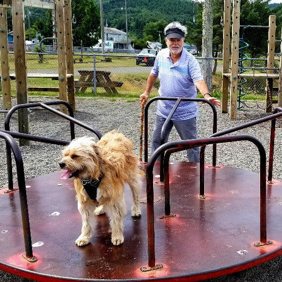 I love to ride on the merry-go-round