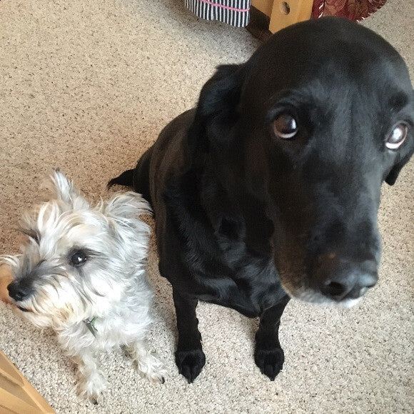 With her best dog buddy, Shadow