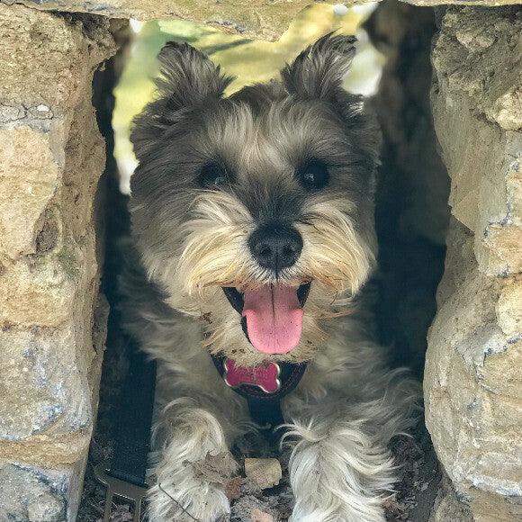 Taking a break on a hot day at the Natural Bridge, Virginia.