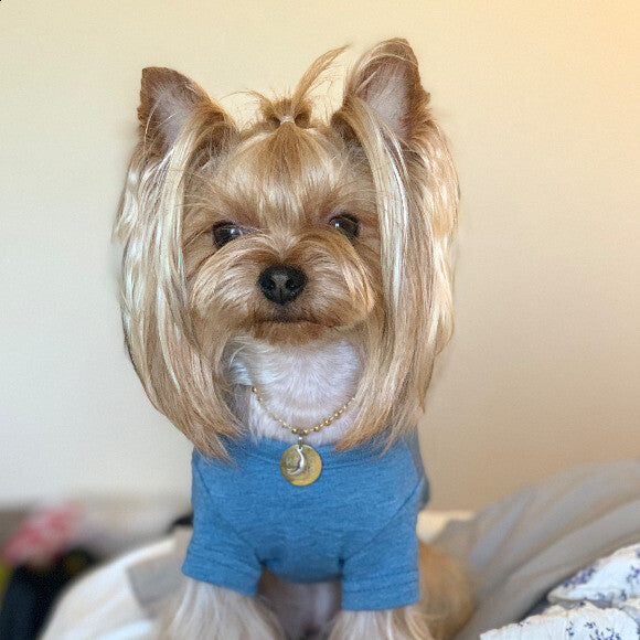 My handsome man