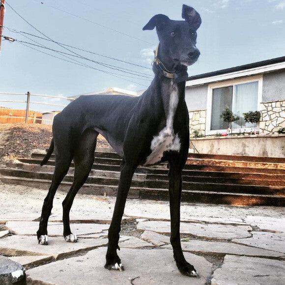 Fierce!