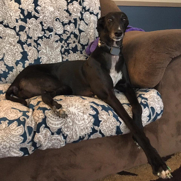 She's got legs for days