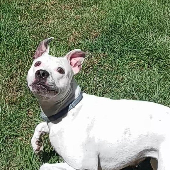 Gotta catch the ball!