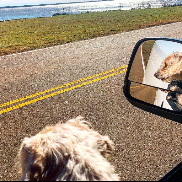 He loves to travel.