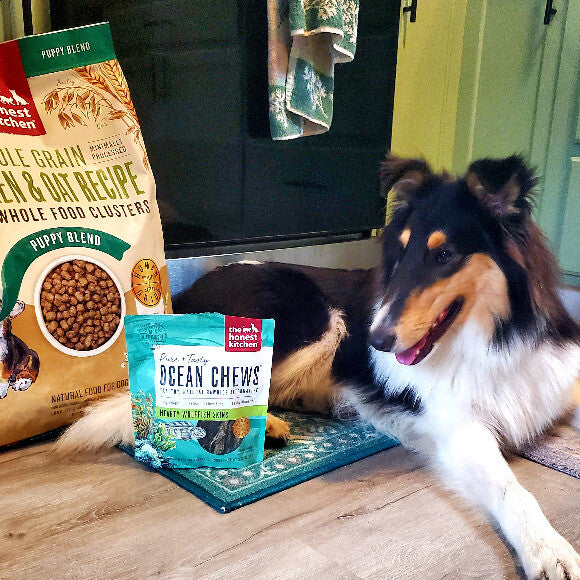 Our collie puppy, Yarrow, loves her dry clusters and fish skins!