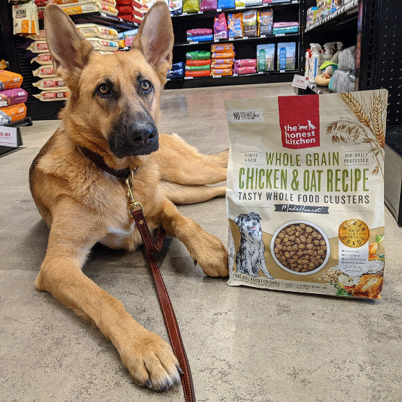 Daph loves her local pet boutique, so she decided to model for them
