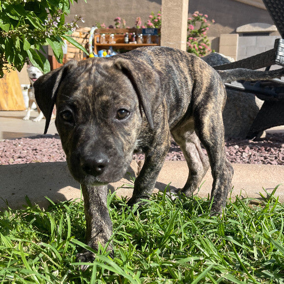 This was taken around when I first got her
