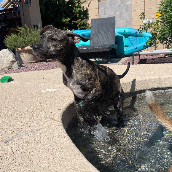 Pool fun!