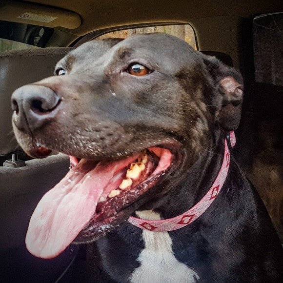 Happy girl heading out for hikes